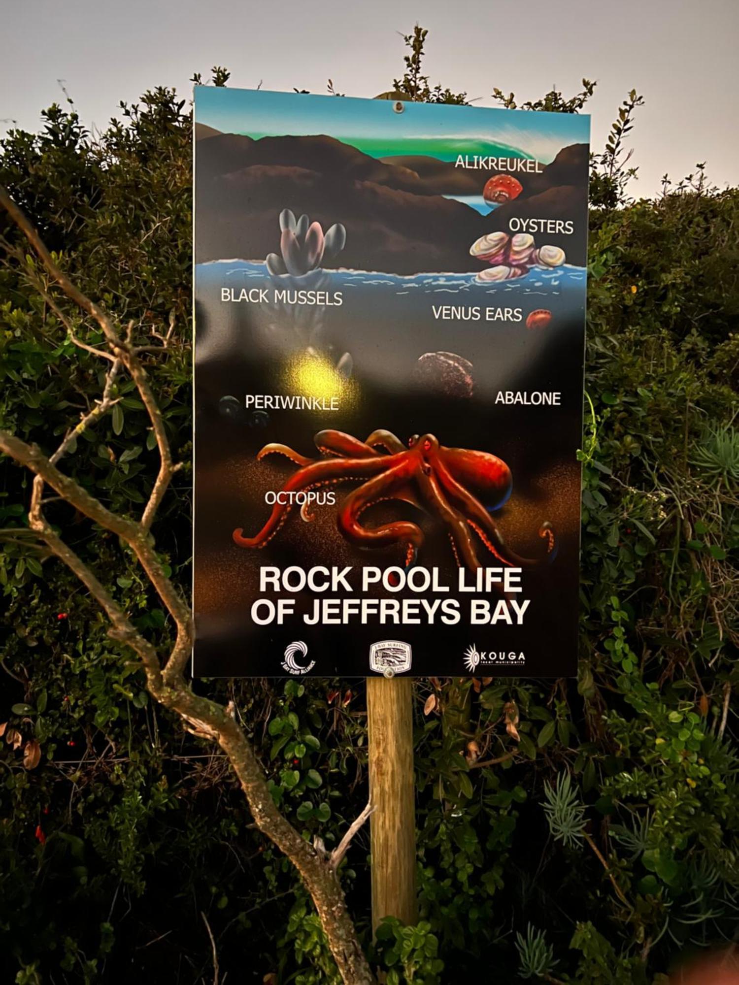 Surfstar At Mimosa Jeffreys Bay Apartment ภายนอก รูปภาพ
