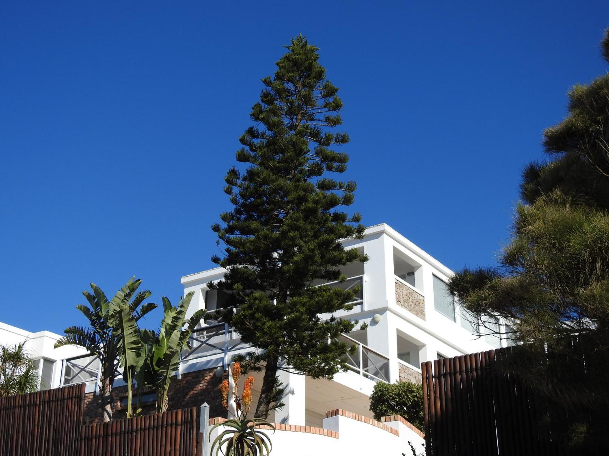 Surfstar At Mimosa Jeffreys Bay Apartment ภายนอก รูปภาพ
